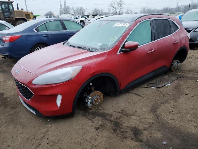 Ford Escape tit (2022)