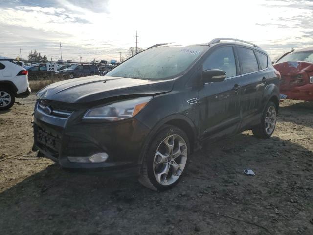 Ford Escape tit (2015)