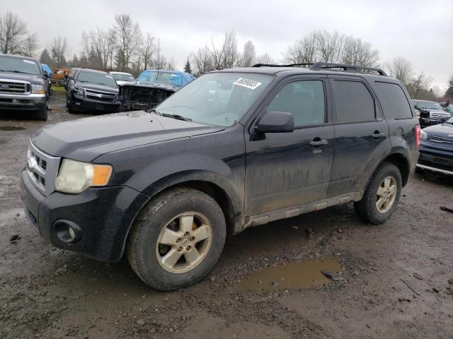 Ford Escape xlt (2012)