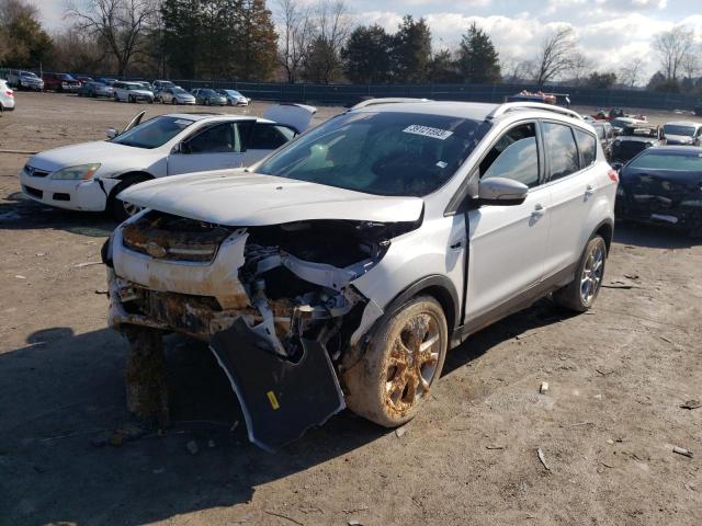 Ford Escape tit (2015)