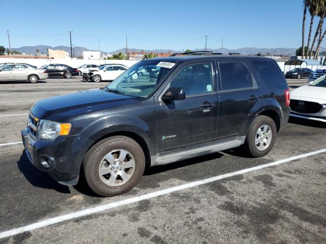 Ford Escape hyb (2011)