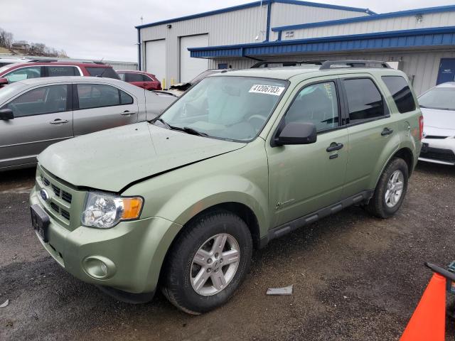 Ford Escape hyb (2010)