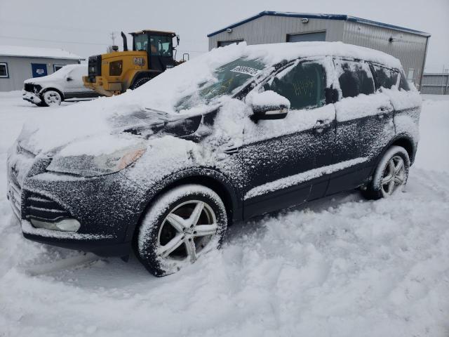Ford Escape tit (2014)