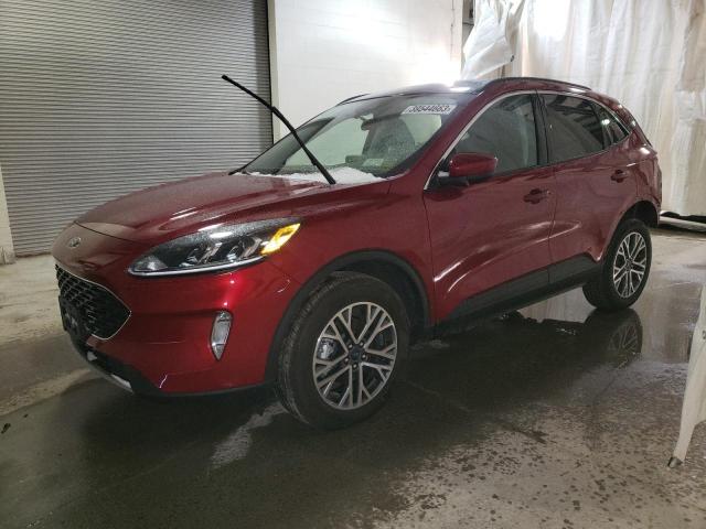 Ford Escape sel (2021)