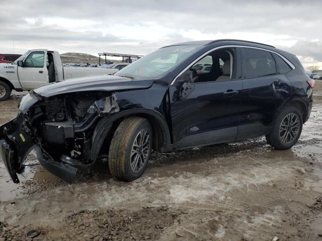 Ford Escape sel (2021)
