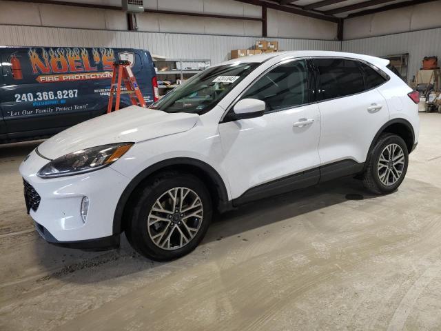 Ford Escape sel (2022)