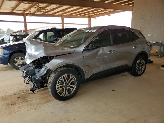 Ford Escape sel (2021)