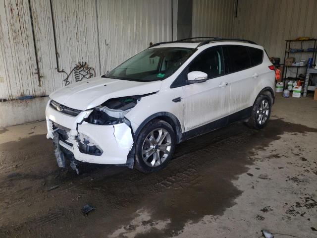 Ford Escape sel (2013)