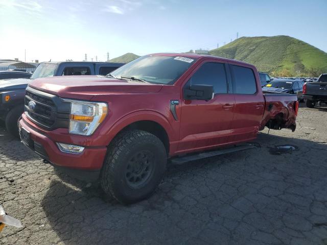 Ford F150 super (2021)