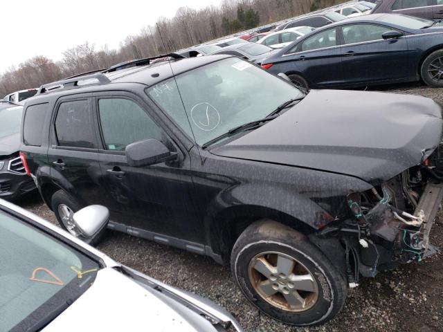 Ford Escape xlt (2011)