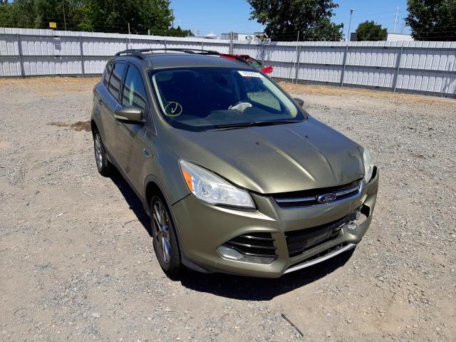 Ford Escape sel (2013)