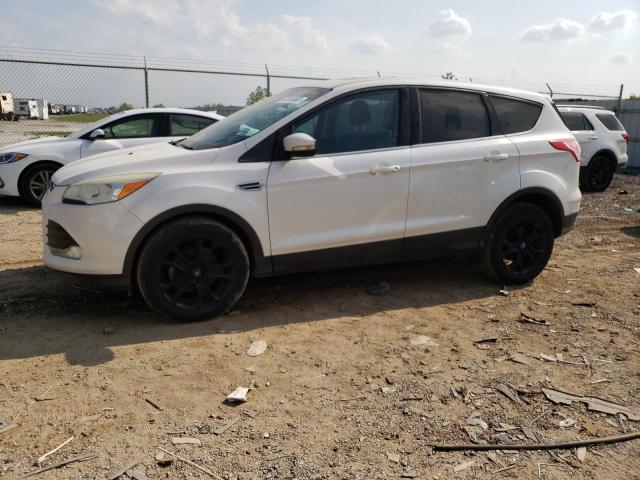 Ford Escape sel (2013)