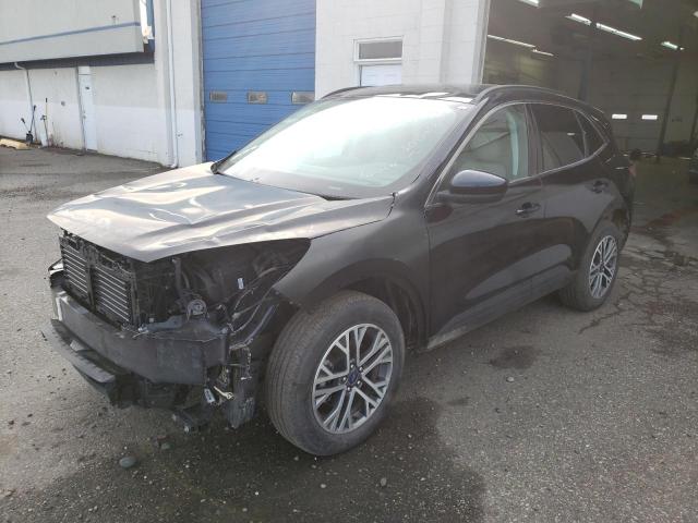 Ford Escape sel (2021)