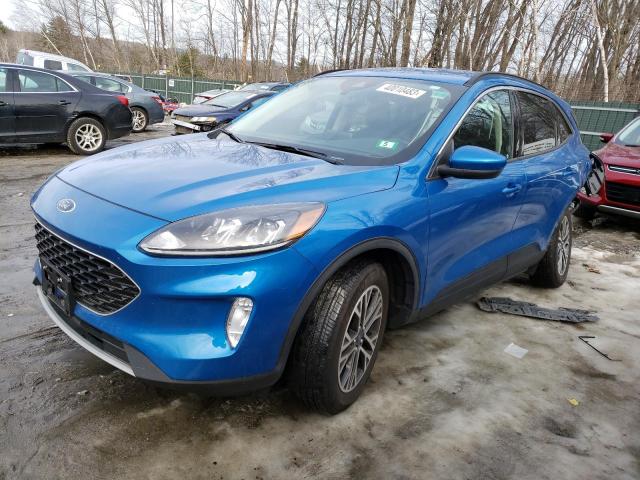 Ford Escape sel (2020)