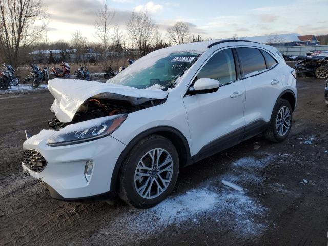 Ford Escape sel (2021)
