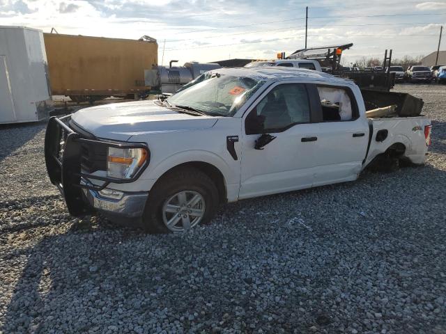 Ford F150 super (2021)
