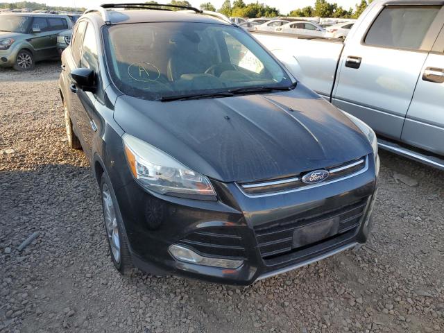 Ford Escape tit (2014)