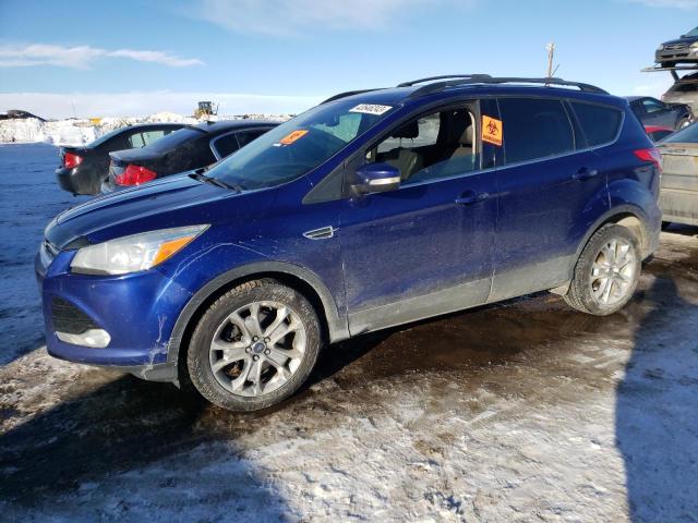 Ford Escape sel (2013)