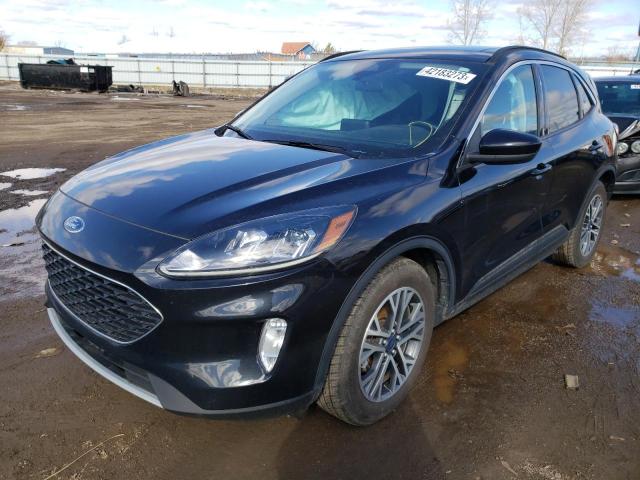 Ford Escape sel (2020)