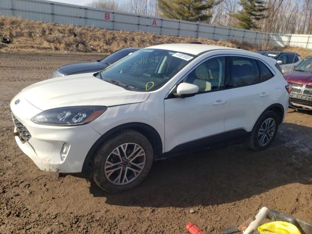 Ford Escape sel (2022)