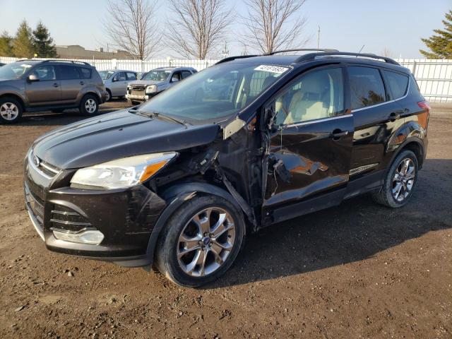 Ford Escape sel (2013)
