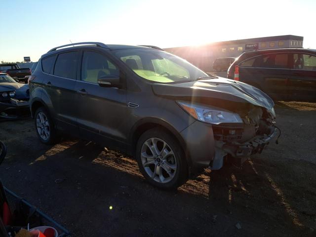 Ford Escape tit (2014)