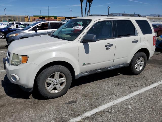 Ford Escape hyb (2011)