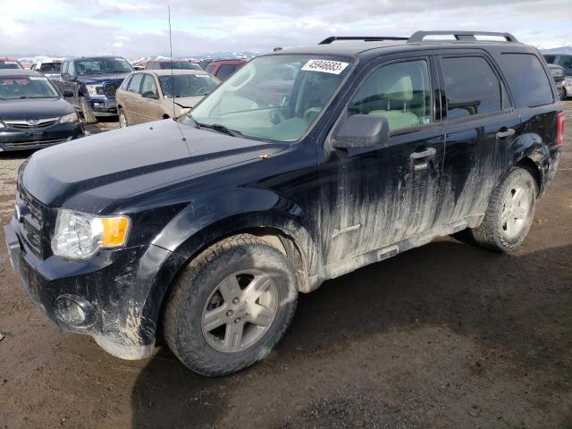Ford Escape hyb (2010)
