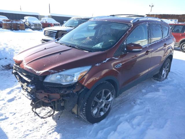 Ford Escape tit (2015)