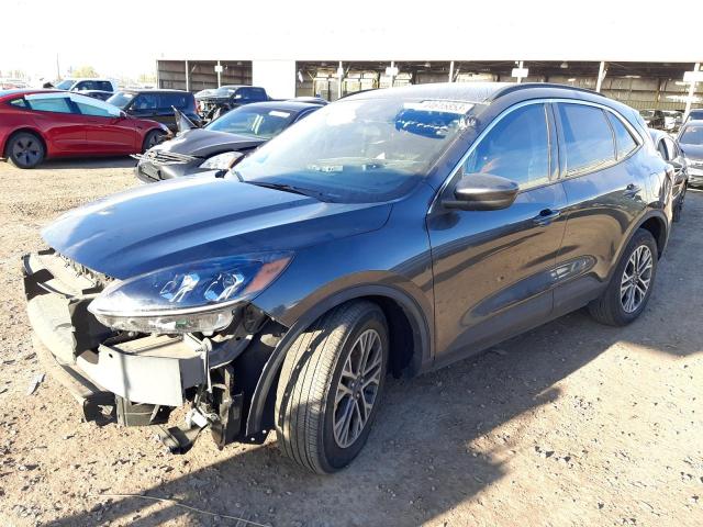 Ford Escape sel (2020)