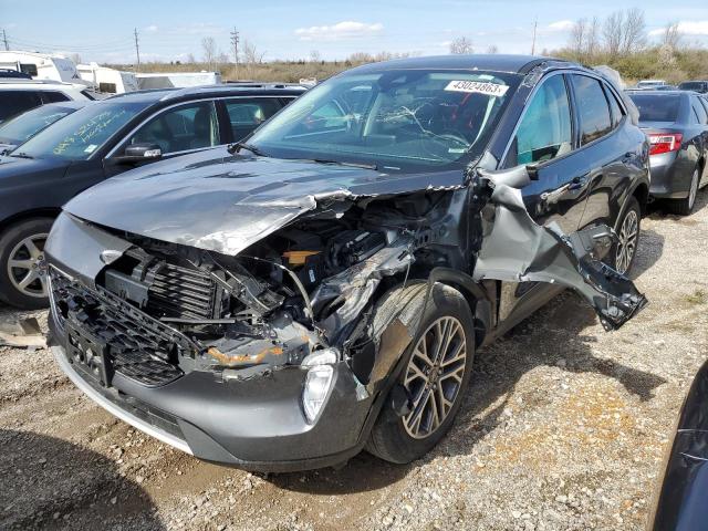 Ford Escape sel (2022)
