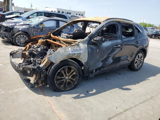 Ford Escape sel (2020)