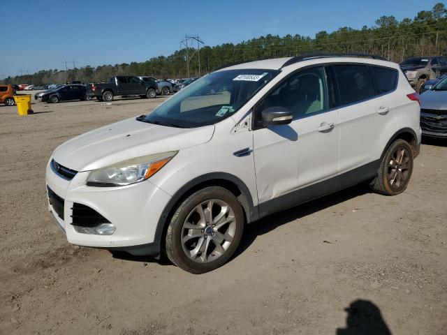 Ford Escape sel (2013)