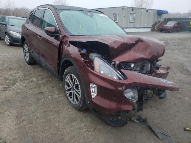 Ford Escape sel (2021)