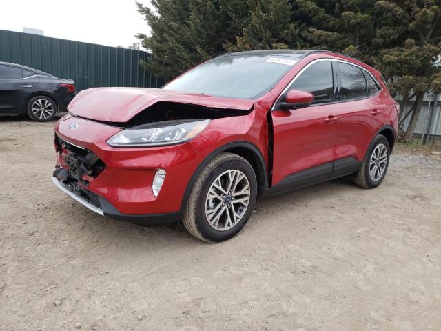 Ford Escape sel (2022)