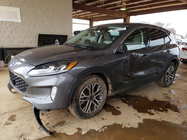 Ford Escape sel (2022)