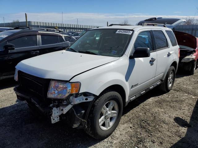 Ford Escape hyb (2010)