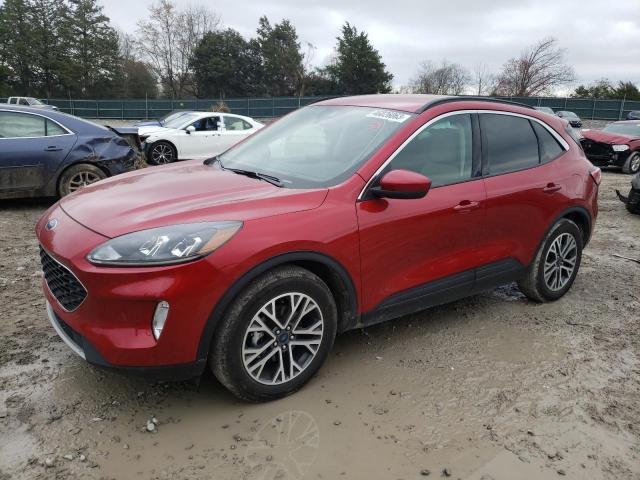 Ford Escape sel (2020)