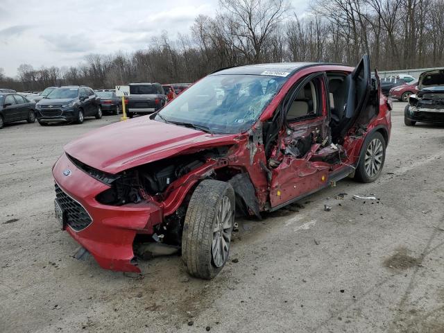 Ford Escape tit (2020)
