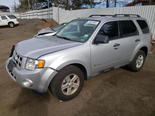 Ford Escape hyb (2010)