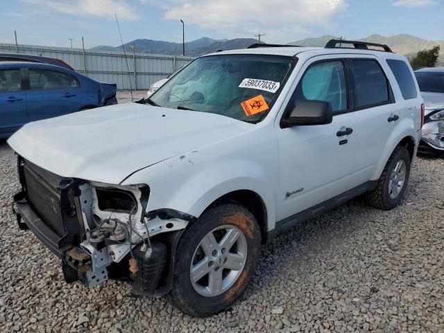 Ford Escape hyb (2010)