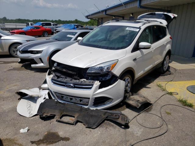 Ford Escape tit (2014)