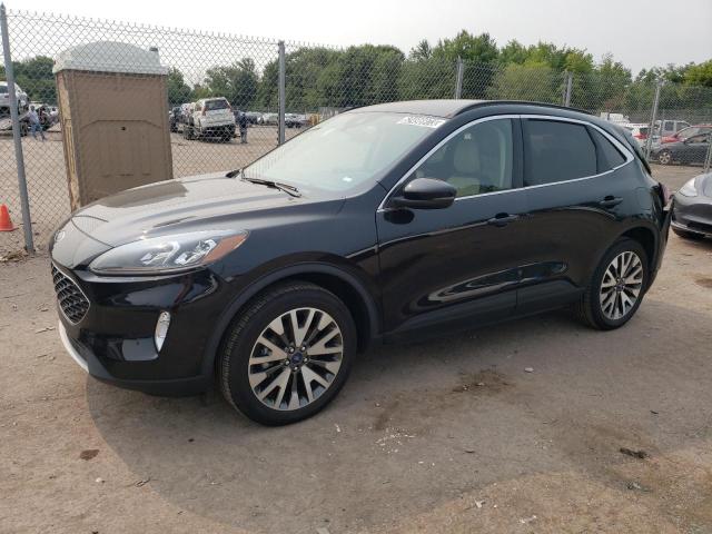 Ford Escape tit (2020)