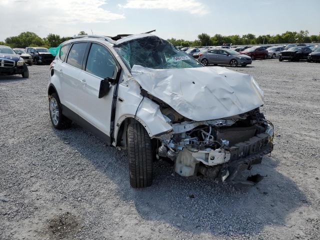 Ford Escape tit (2013)