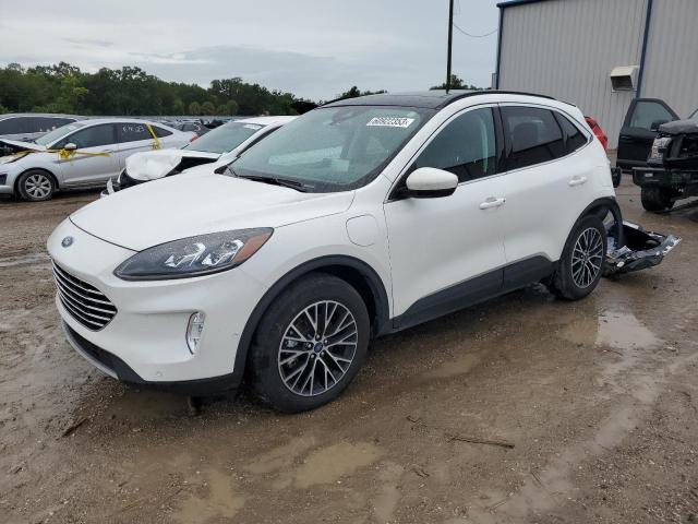 Ford Escape tit (2021)