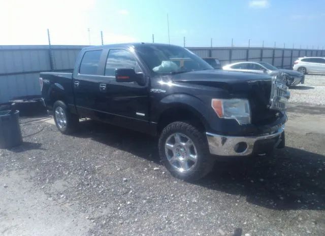 Ford F-150 (2013)