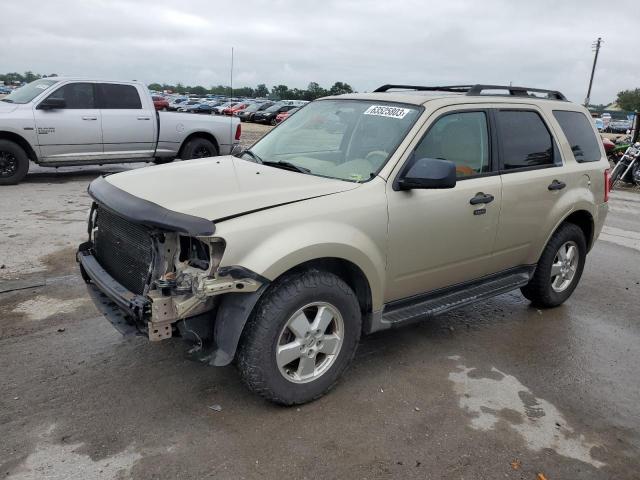 Ford Escape xlt (2011)