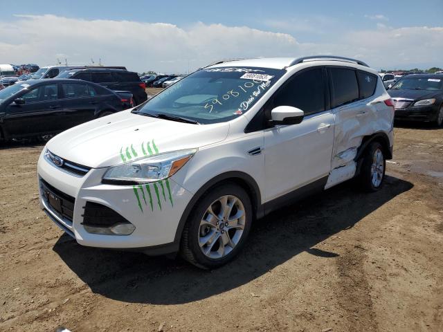 Ford Escape tit (2014)