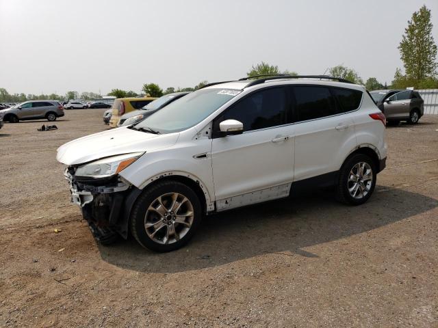 Ford Escape sel (2013)