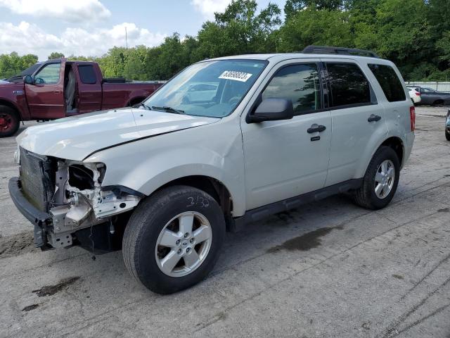 Ford Escape xlt (2009)